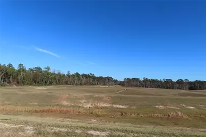 24438 Elmwood Falls Drive, Spring, TX 77373 - Photo 15