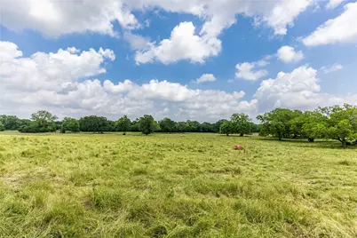 3148 Mill Creek Ranch Road, New Ulm, TX 78950 - Photo 7