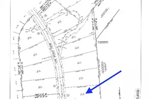 15988 Wood Grv Wy, Willis, TX 77378 - Photo 5