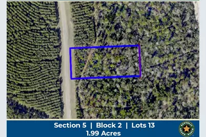 15988 Wood Grove Way, Willis, TX 77378 - Photo 1