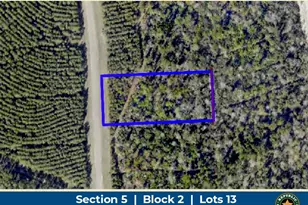 15988 Wood Grv Wy, Willis, TX 77378 - Photo 1