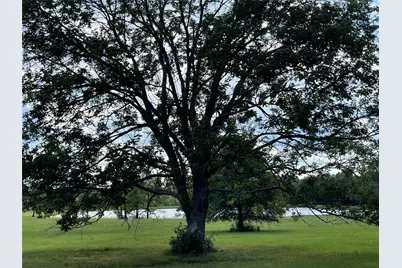 15988 Wood Grove Way, Willis, TX 77378 - Photo 5