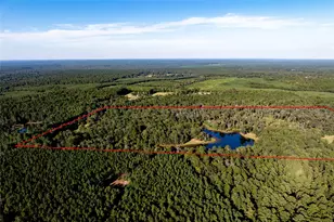 3544 County Rd 1170, Kennard, TX 75847 - Photo 15