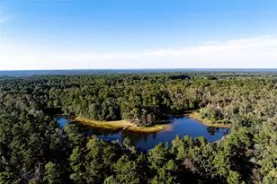 3544 County Rd 1170, Kennard, TX 75847 - Photo 17