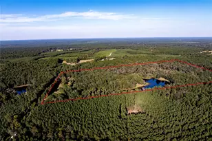 3544 County Rd 1170, Kennard, TX 75847 - Photo 13