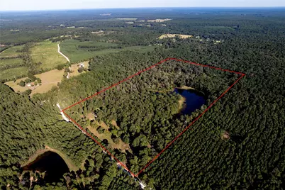 3544 County Road 1170, Kennard, TX 75847 - Photo 9