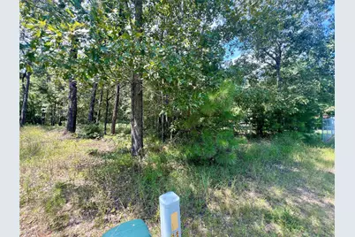 Tbd Hidden Oaks Drive, Point Blank, TX 77364 - Photo 3
