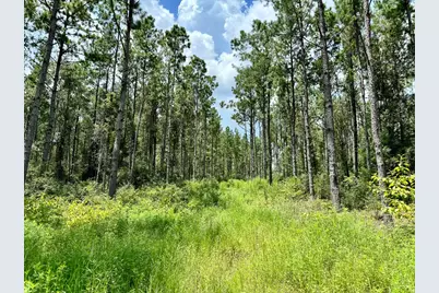 0 Slim Palmer Rd, Zavalla, TX 75980 - Photo 17