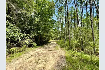 0 Slim Palmer Rd, Zavalla, TX 75980 - Photo 11