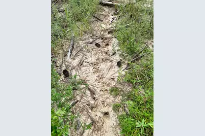 0 Slim Palmer Rd, Zavalla, TX 75980 - Photo 9