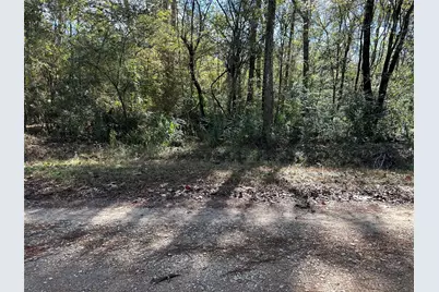 0 County Road 3612, Cleveland, TX 77372 - Photo 1