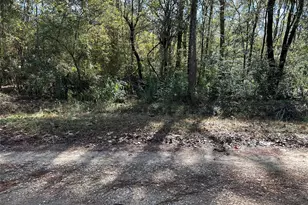 0 County Rd 3612, Cleveland, TX 77372 - Photo 1