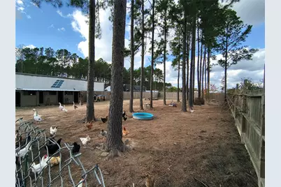 2363 County Road 3548, Cleveland, TX 77327 - Photo 5