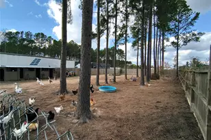 2363 County Road 3548, Cleveland, TX 77327 - Photo 5