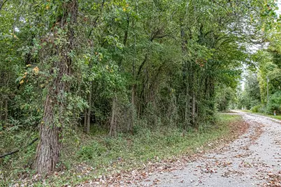 Lot 74 The Woods Road, Coldspring, TX 77331 - Photo 11