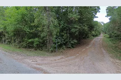 Lot 74 The Woods Road, Coldspring, TX 77331 - Photo 7