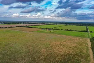 00 County Road 192, Liverpool, TX 77577 - Photo 7