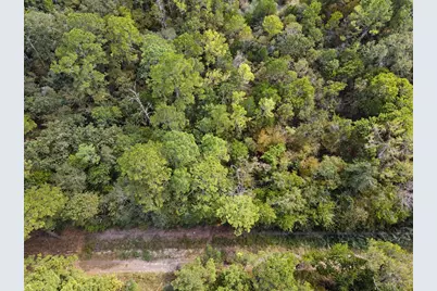 Tbd The Woods Rd Lot  47 Road, Coldspring, TX 77331 - Photo 5