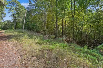 Tbd The Woods Rd Lot  47 Road, Coldspring, TX 77331 - Photo 9
