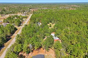 2020 White Buck Court, Cleveland, TX 77328 - Photo 29