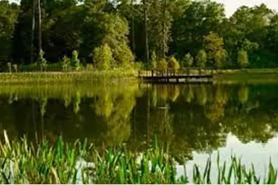 160 Birdsall Street #1231, Houston, TX 77007 - Photo 21