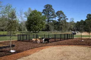 2709 Discovery Trails Ct, Conroe, TX 77301 - Photo 15