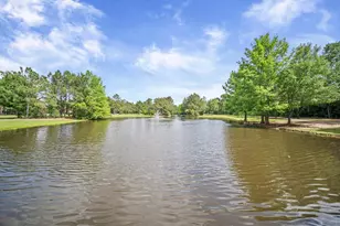 241 W Tupelo Green Cir, Spring, TX 77389 - Photo 49