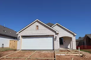 527 Flower Reed Ct, Magnolia, TX 77354 - Photo 9