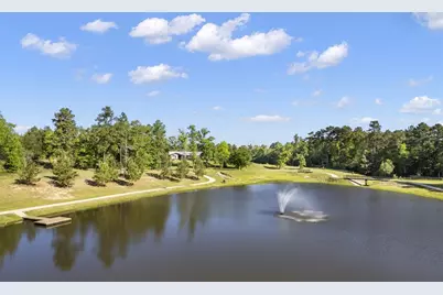 7741 Dog Wood Acres Drive, Montgomery, TX 77316 - Photo 19