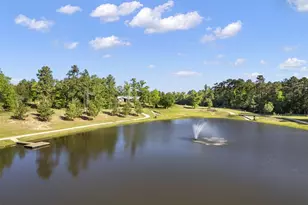 7741 Dog Wood Acres Dr, Montgomery, TX 77316 - Photo 45