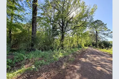 Tbd Flat Road, Milam, TX 75930 - Photo 1