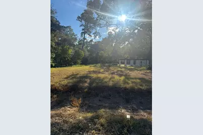 162 Linnwood Drive, Woodbranch, TX 77357 - Photo 5