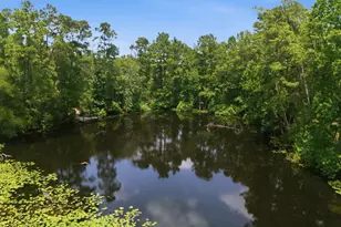223 Pin Oak Ln, Magnolia, TX 77354 - Photo 47