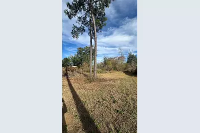 7119 Jessica Leann Drive, Conroe, TX 77306 - Photo 5