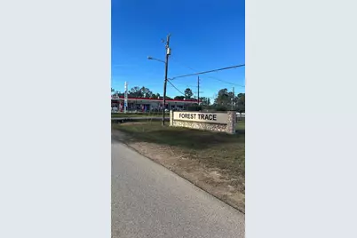 7119 Jessica Leann Drive, Conroe, TX 77306 - Photo 11