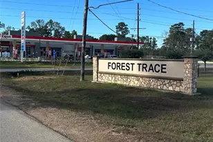 7119 Jessica Leann Dr, Conroe, TX 77306 - Photo 11