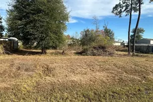 7119 Jessica Leann Dr, Conroe, TX 77306 - Photo 7