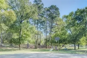 217 Cherry Tree, Livingston, TX 77351 - Photo 43