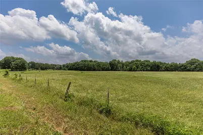 0 Skalak Road, New Ulm, TX 78950 - Photo 11