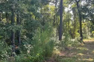 4607 Woodpeckers Grove, Cleveland, TX 77328 - Photo 7