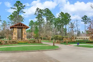 126 Bellardia Ct, Montgomery, TX 77316 - Photo 41