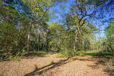 15777 Post Oak Road, Plantersville, TX 77363 - Photo 3