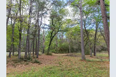 15777 Post Oak Road, Plantersville, TX 77363 - Photo 15
