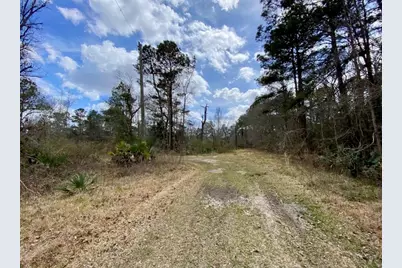 0 Puppy Lane, Crosby, TX 77532 - Photo 3