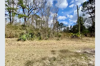 0 Puppy Lane, Crosby, TX 77532 - Photo 7