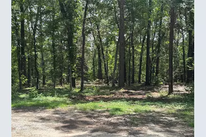 107 Pine High Lane, Brookeland, TX 75931 - Photo 9