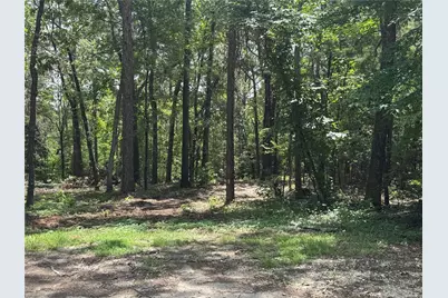 107 Pine High Lane, Brookeland, TX 75931 - Photo 7