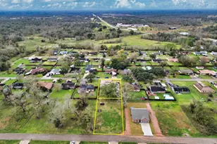 2587 County Rd 769B, Brazoria, TX 77422 - Photo 43