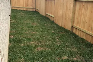 31315 Conover Dr, Fulshear, TX 77441 - Photo 13