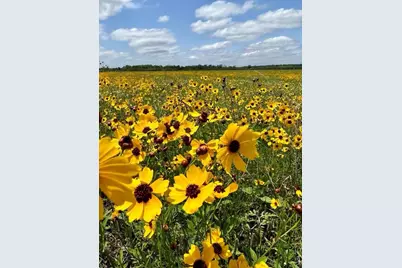 0 County Road 48, Angleton, TX 77515 - Photo 7